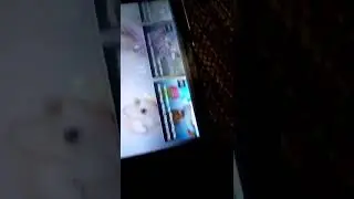 Попка