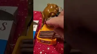 Taking schoko 🍪  sticks von Sondey #ASMR #maddog viral shorts #satisfying sounds (5)