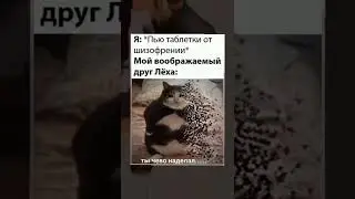 Мем (...Читать далше...