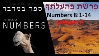 Hebrew Reading Practice from Torah Portion Beha'alotcha Numbers 8:1-14