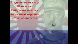 Правнук Хирохито в виде мошки
