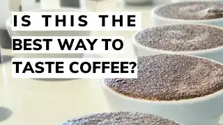 HOW TO CUP AT HOME: The What, Why, and How of Cupping!