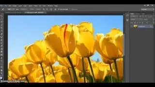 Adobe Photoshop CS6 Ders 27  Pen Tool - Decupe İşlemi - Pen Kullanımı - Çizim Yapmak