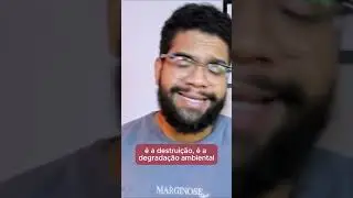 AGRONEGÓCIO E DESMATAMENTO