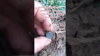 редкая монета