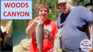 WOODS CANYON LAKE FISHING - Trout, Rainbow, Tiger, Bluegill - Pan Seared Trout Fillet - Shore & Boat