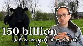 the hardest part about being vegan