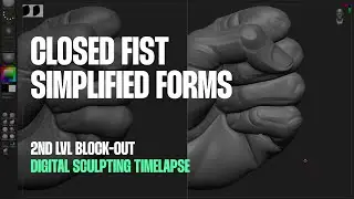 Sculpting Hands - Timelapse (Pose: Closed fist)