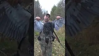 #охота