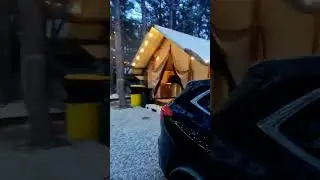 Геленджик,кемпинг под соснами #кемпер #automobile #путешествия #юмор #экипаж #вэнлайф #море#дружба#
