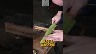 Finishing My Big Bowie