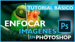 CÓMO ENFOCAR IMÁGENES EN PHOTOSHOP 😮