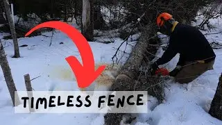 Avoid a Disaster By Choosing This Fence!