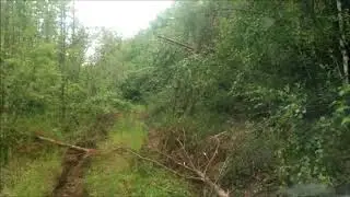 Наши лесные дороги в 2018. ч.2.