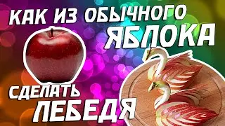 ЛЕБЕДЬ ИЗ ЯБЛОКА!