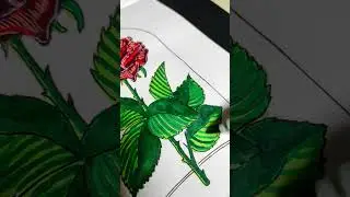 🌹