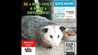 VIDEO - NTGD 2021 Why We Need You to be WILD