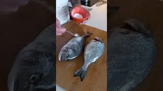 Дорадо с чесночным маслом | Dorado 