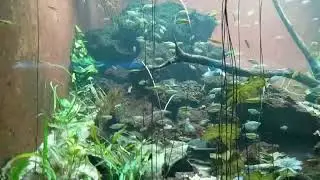 Aquarium