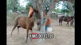Yo no Necesito de Devolver el Mal que algún día me ICIERON#follow