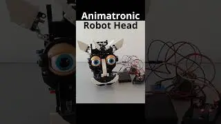 Arduino Animatronic Robot Head
