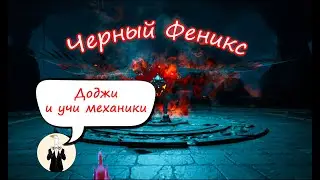 BDO Черный Феникс: Гайд