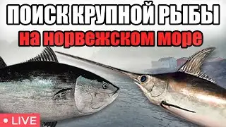 РР4 • РАЗДАЧА В ТРОЛЛИНГ НА НОРВЕЖСКОМ МОРЕ • РОЗЫГРЫШИ • РУССКАЯ РЫБАЛКА 4