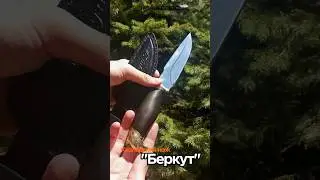 Нож Беркут #кизлярскиеножи #нож #blade #ножи #обзор