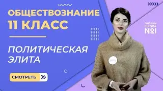 Видеоурок 24. Часть 1. Политическая элита. Обществознание 11 класс