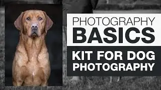 PHOTOGRAPHY BASICS | Kit for Dog Photography