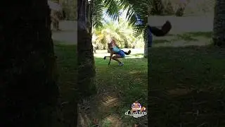 |и снова прыжочки🌴|#LisyaQuadrober #quadrobics#quadrober#QuadroberInSochi#Лися#