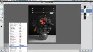Photoshop Elements Color Art for Photos