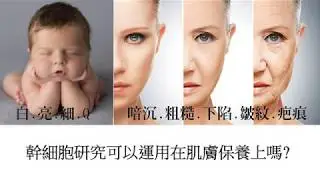 幹細胞研究可以運用在肌膚保養上嗎？