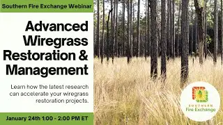 SFE Webinar: Advanced Wiregrass Restoration and Management