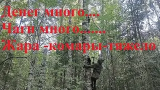 Чаги на 10 000р за день. Но, очень тяжело.