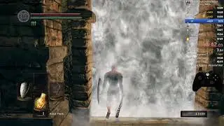 Iron Golem DSR NWW/Any%/Forcequit