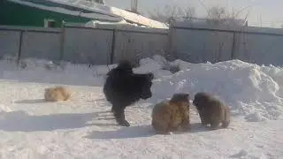 VID 20180226 1328331