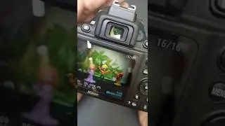 Nikon D3500 photography effects 