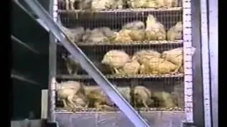 Earthlings - Erdlinge - Deutsche Synchro.mp4