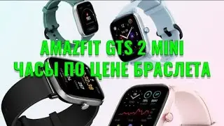 Умные часы по цене браслета! Amazfit GTS 2 Mini краткий обзор