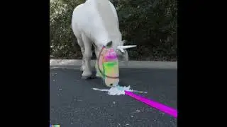 LAMAMA - Unicorn On Ketamine (SPED UP + BASS BOOSTED)