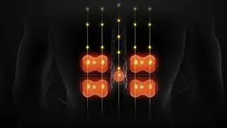 ARE YOU LIVING WITH BACK PAIN?