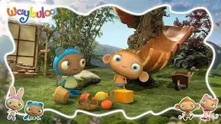 Waybuloo - FULL EPISODE 🧘🌳 Season 2, Episode 50 - Nok Tok Goes Away