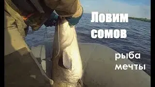 Ловля сома на перемет день 1-й (средняя Волга открытие сезона)