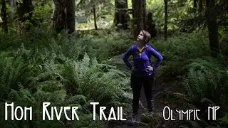 Hoh River Trail, Olympic NP