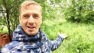 Продаю улиток с Дома на Юге на Авито