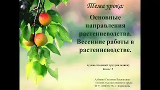 Основные направления растениеводства Весенние работы в растениеводстве