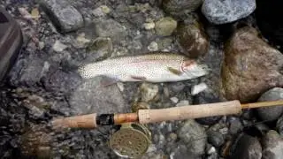 Micro skagit casting