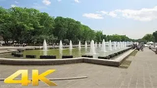 Walking around Ueno park, Tokyo - Long Take【東京・上野公園】 4K