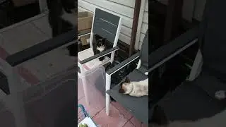 Интерес сильнее страха